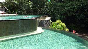 포시즌스 사얀 | Four Seasons Resort Bali at Sayan 3
