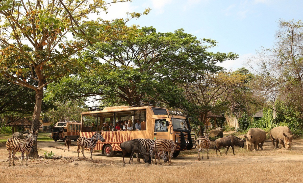마라 리버 사파리 롯지 (Mara River Safari Lodge) 16