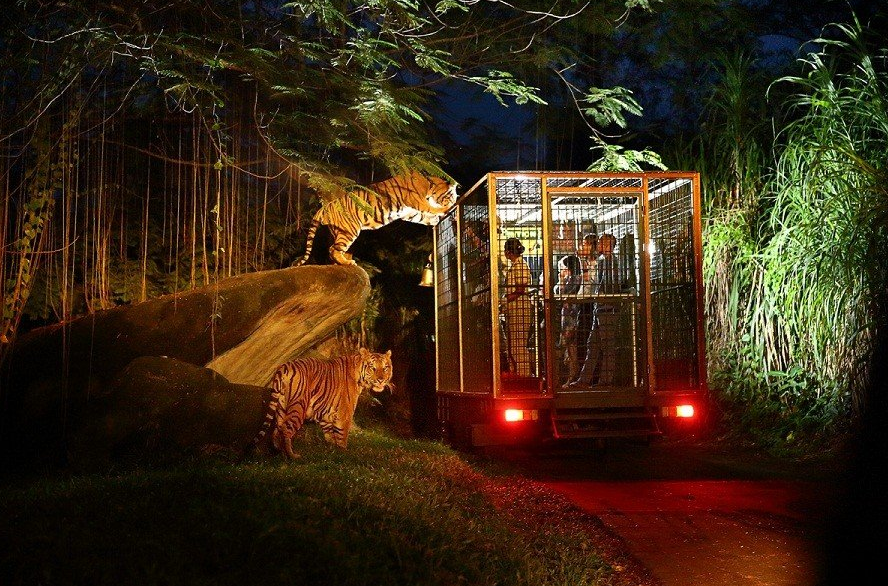 마라 리버 사파리 롯지 (Mara River Safari Lodge) 17